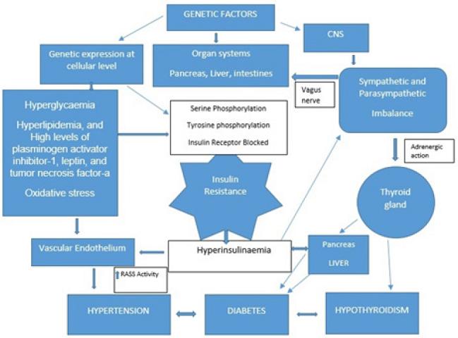 Figure 2: Linkages between Diabetes, Hypertension and Hypothyroidism