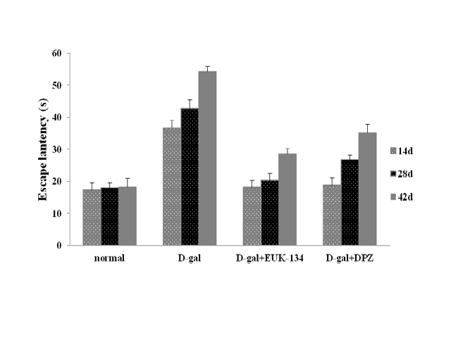 Effect of EUK-134 on the escape latencies of four group rats in the Morris water maze test on different days