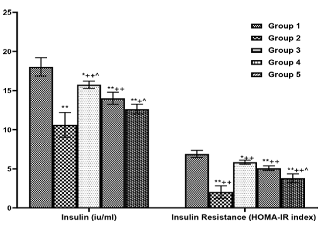 Insulin and Insulin Resistance.